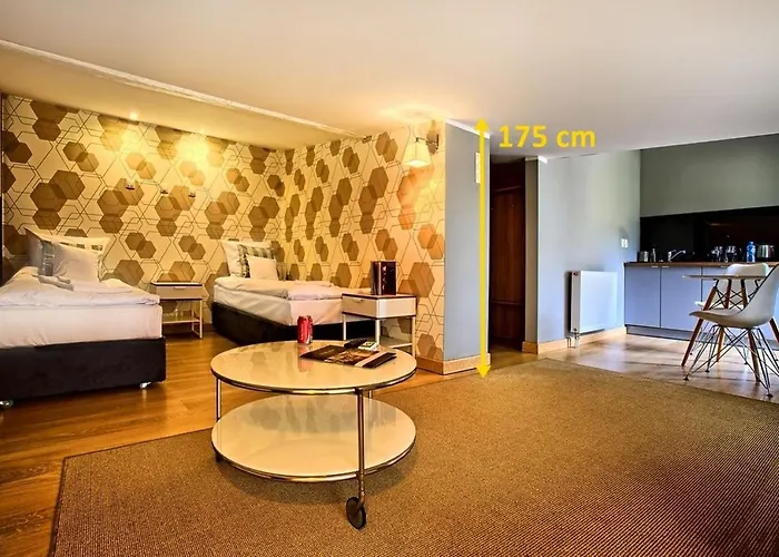 公寓式酒店 Stare Kino Cinema 罗兹